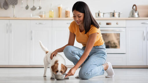 Woman and dog in the kitchen