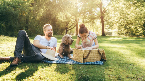 Family at the park