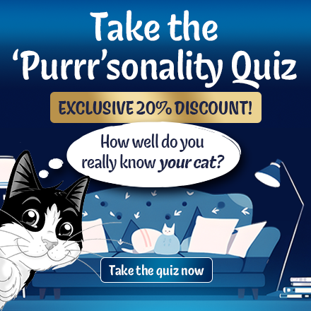 Take the 'Purrr'sonality Quiz