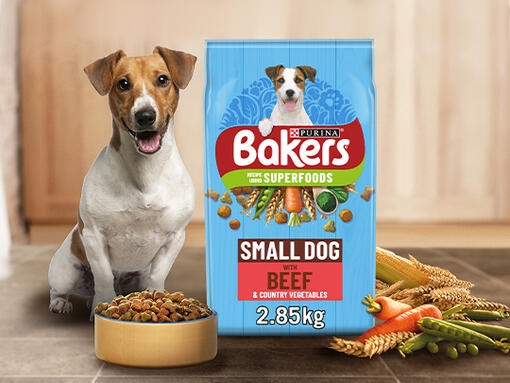 Bakers Small Dog product next to a Jack Russell and bowl of food