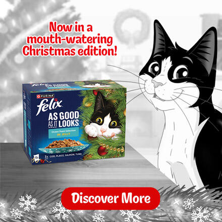 Felix As Good As It Looks now in a mouth-watering Christmas edition