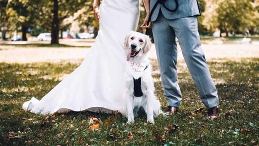 Bride and groom with dog