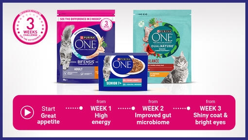 Purina ONE three week challenge steps