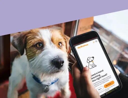 Meet MyPetPass