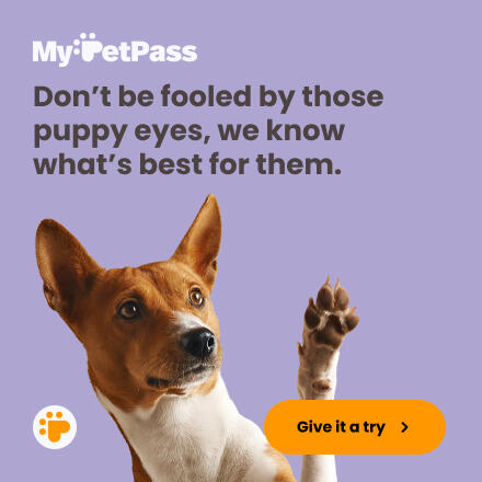 MyPetPass - Don't be fooled by those puppy eyes, we know what's best for them