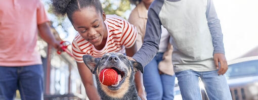 Family playing with dog who has a red ball in his mouth