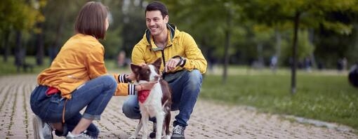 Man and woman in a park petting their dog