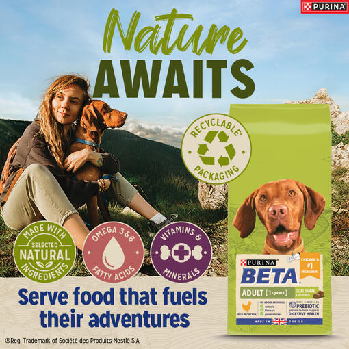 Beta Natures Awaits