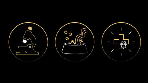 Pro Plan cat icons