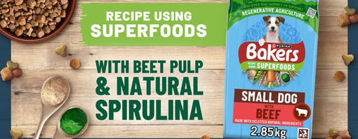 Bakers small dog beef product - recipe using Superfoods