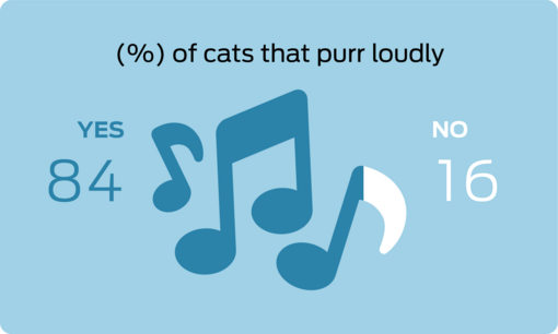 % of cats that purr loudly