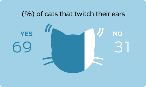 % of cats that twitch their ears