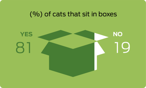 % of cats that sit in boxes