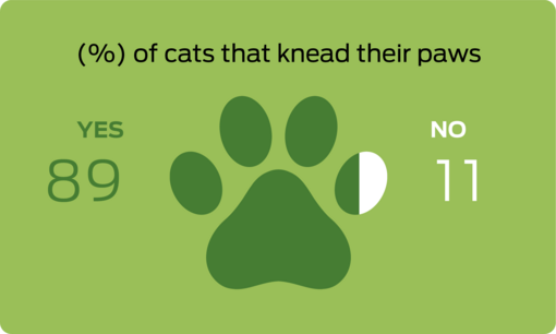 % of cats that knead their paws