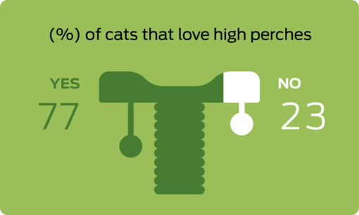 % of cats that love high perches