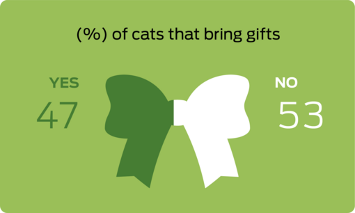 % of cats that bring gifts
