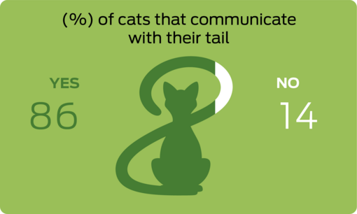 % of cats that communicate with their tail