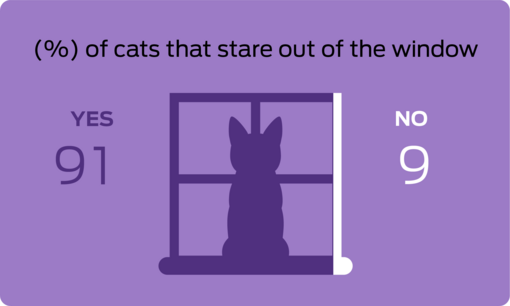 % of cats that stare out of the window