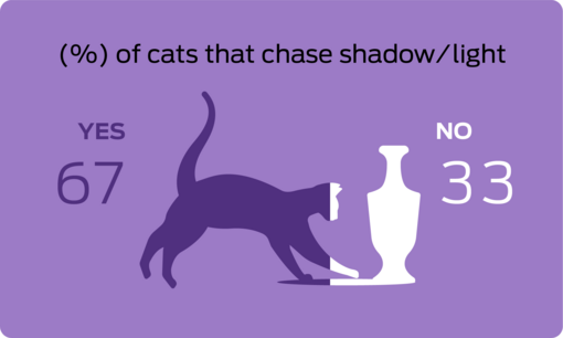 % of cats that chase shadow/light
