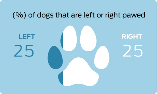 % of dogs that are left or right pawed
