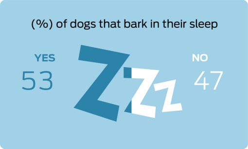 % of dogs that bark in their sleep