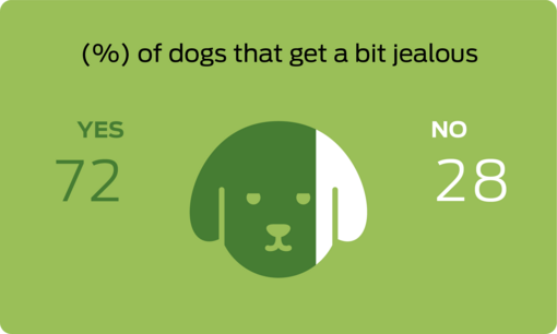 % of dogs that get a bit jealous