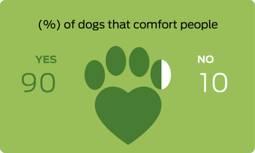 % of dogs that comfort people