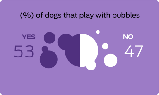 % of dogs that play with bubbles