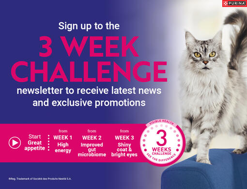 Sign up to the 3 Week Challenge newsletter to receive latest news and exclusive promotions