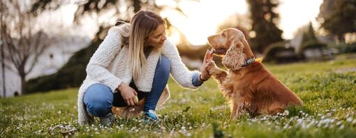 Woman and Cocker Spaniel outside playing - Hero