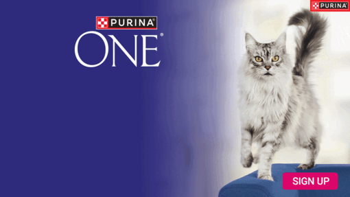 Purina ONE visible results from day one