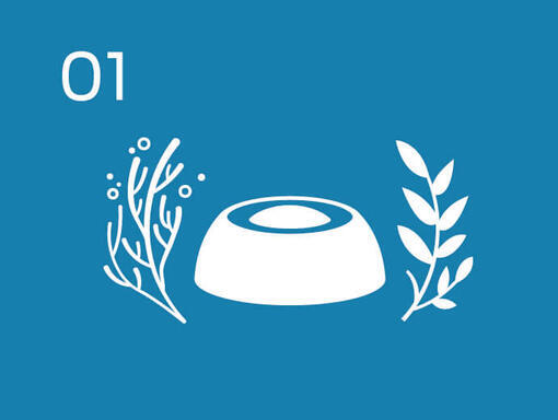 Innovate pet nutrition and source ingredients through regenerative practises.