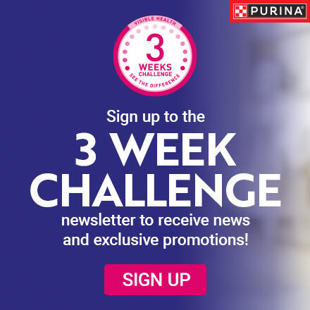 Sign up to the 3 Week Challenge newsletter to receive latest news and exclusive promotions
