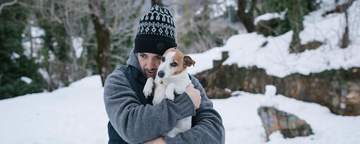 Do Dogs Get Cold?