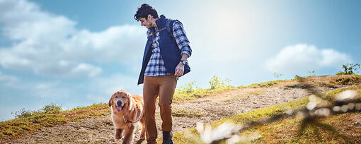 UK’s Best Dog Walking Routes