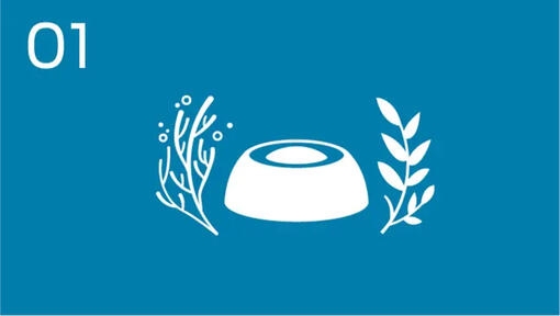 Innovate pet nutrition and source ingredients through regenerative practises.