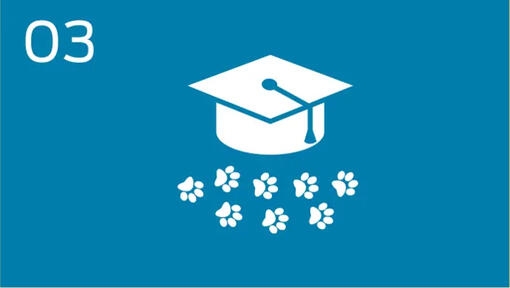 Promote responsible pet ownership programmes