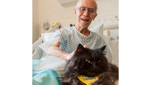 Elderly man in hospital bed stroking a Pets as Therapy cat