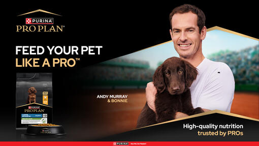 Feed your pet like a pro - Andy Murry and his puppy Bonnie