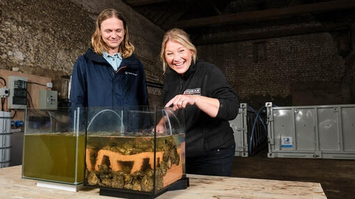 Jo and George inside a barn with some oysters in a tank