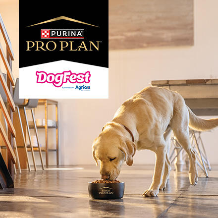 Purina PRO PLAN DogFest