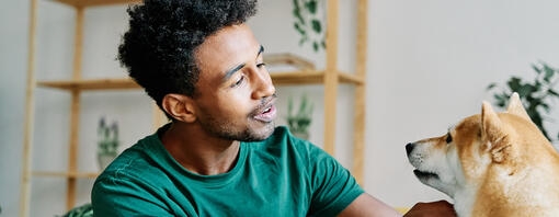 How to teach a dog to speak hero