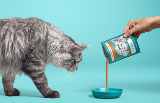 VISIBLE HEALTH FOR TODAY AND TOMORROW