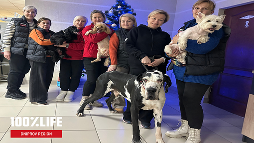 100% Life - Dniprov Region - charity people and dogs