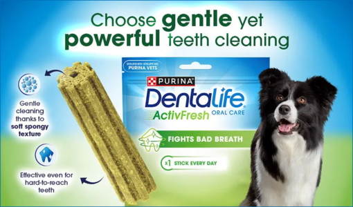 Dentalife promo