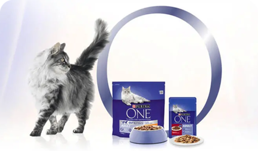 Purina ONE cat with products