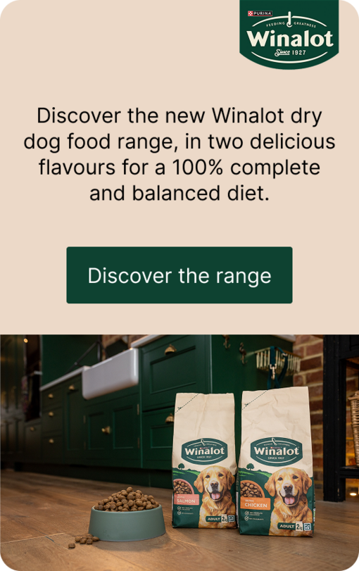 Winalot promo