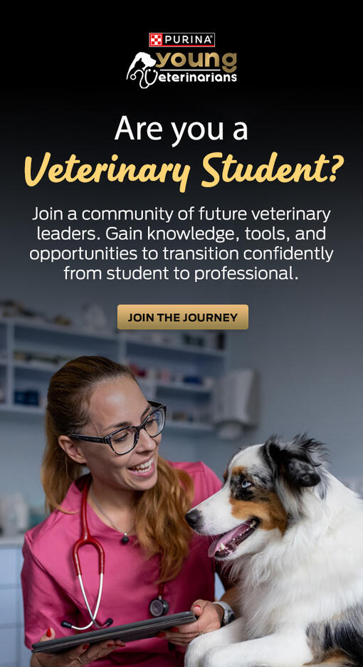 Young Veterinarian