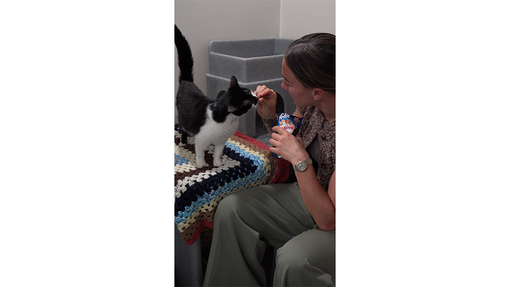 Lucy feeding Felix treats to a black and white cat