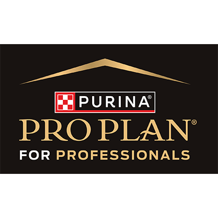 PRO PLAN for Professionals